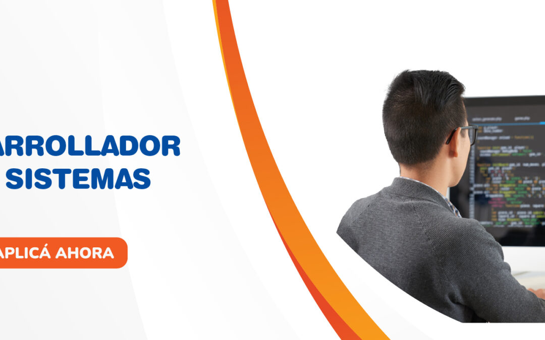 Desarrollador de Sistemas
